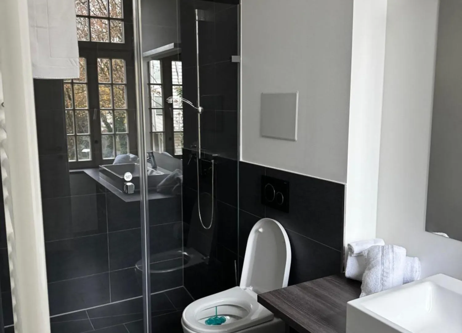 Royal Gmbh Apartment Munich Germany